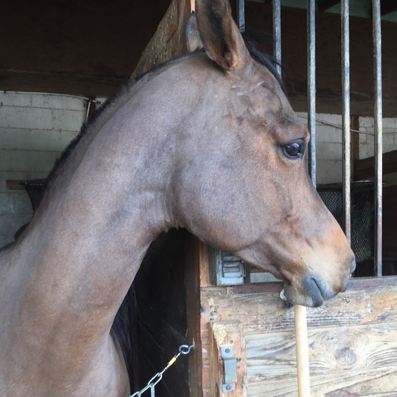 Not to buy - Picture 5 of 7